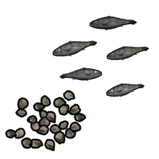 Minnows Seed