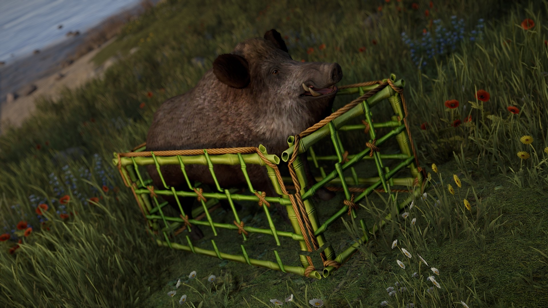 Bamboo Cage Large thumbnail 10