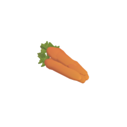 Carrot Bunch
