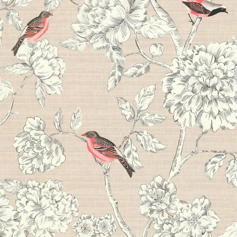 Champer_Birds_51224707
