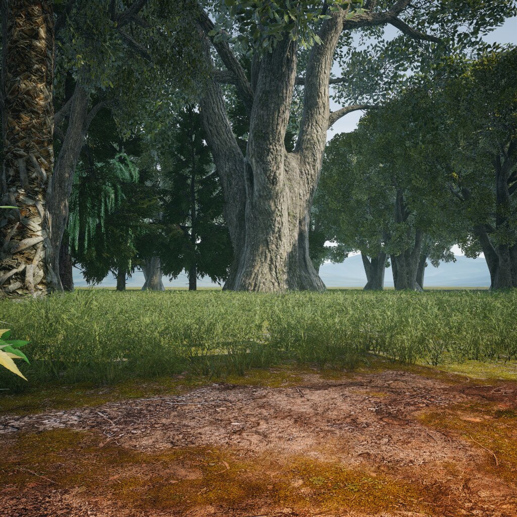 FPV PARK in forest