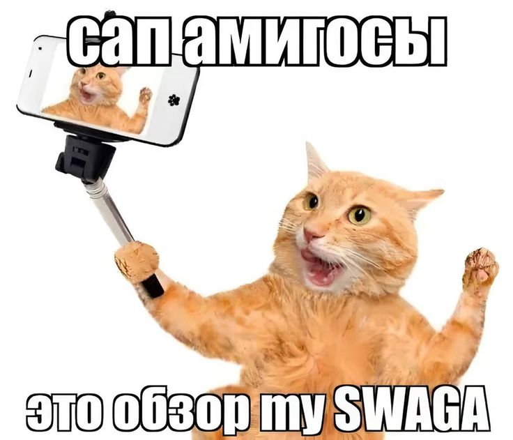 всем панки хой)