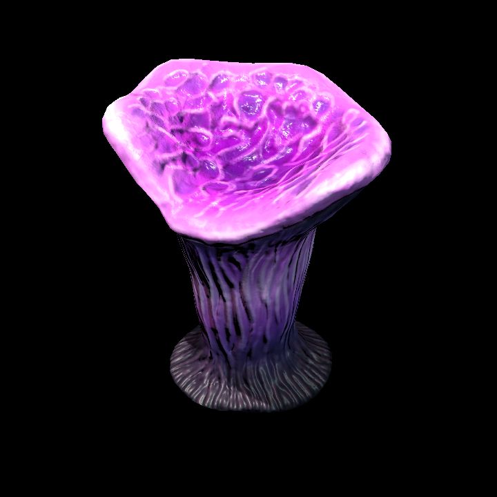 DA_Coral_6