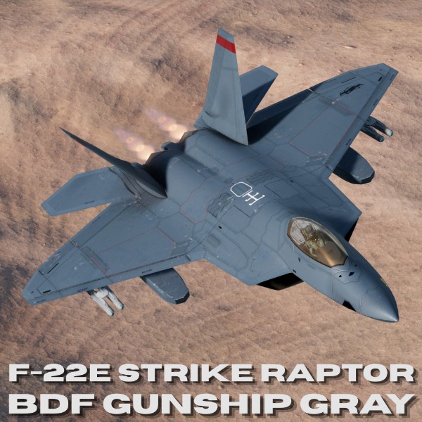 BDF Gunship Gray - F-22E Strike Raptor preview