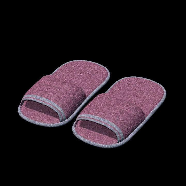 Slippers 2