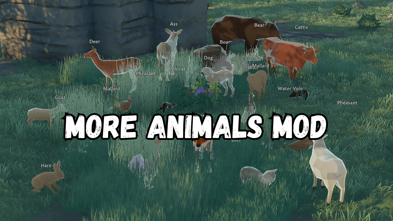 More Animals