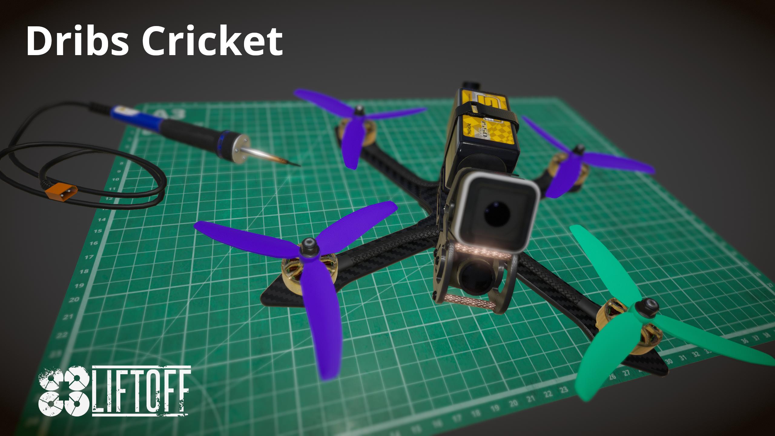 Dribs Cricket