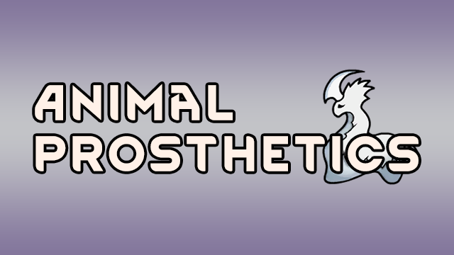 Animal Prosthetics