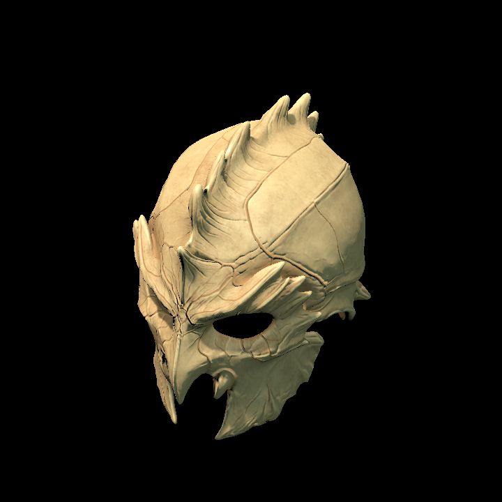 Helm, Raptor