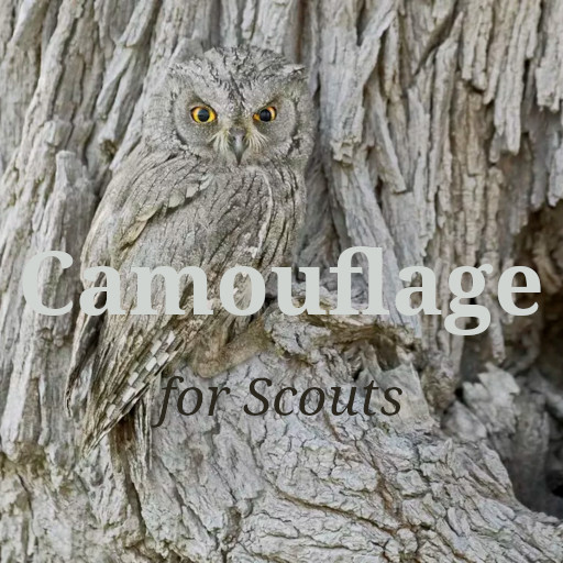 _Camouflage_ preview