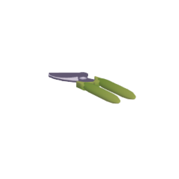 Pruning Shears