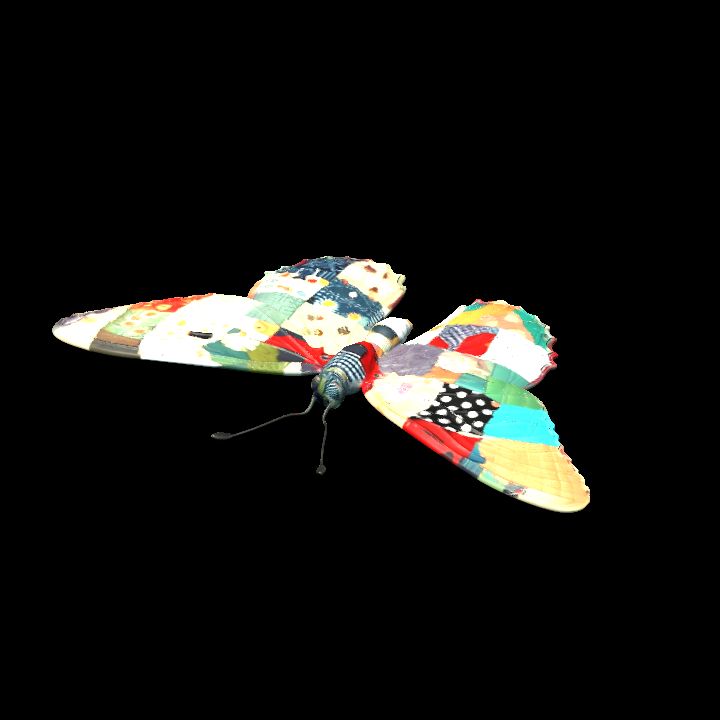 Butterfly 4