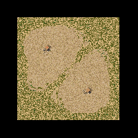 Nothing Desert