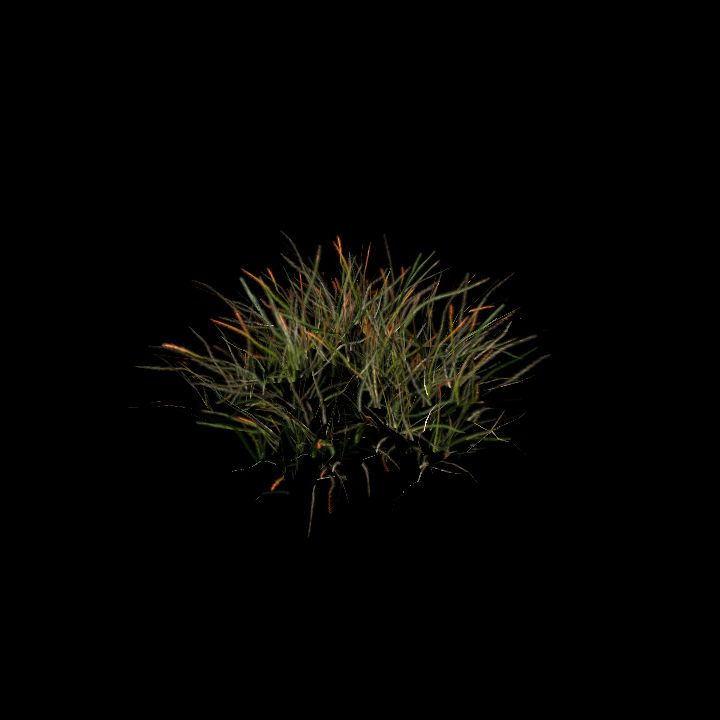 Nature, Grass, Tundra 2