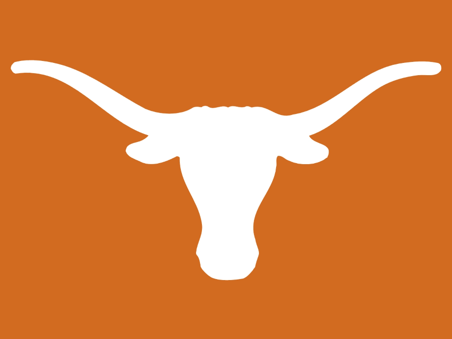 Texas Longhorns Flag preview