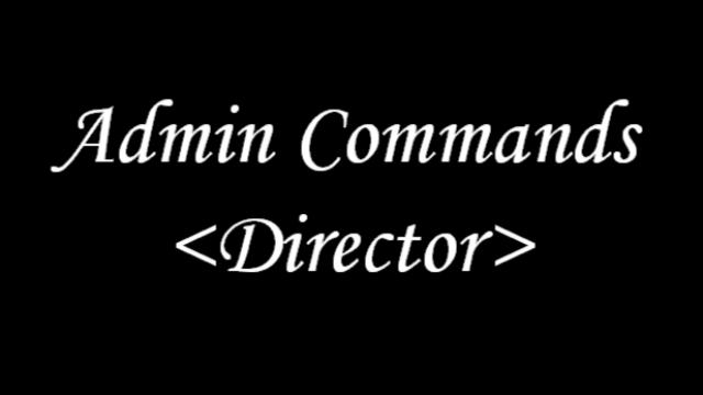 Admin Commands <Director>