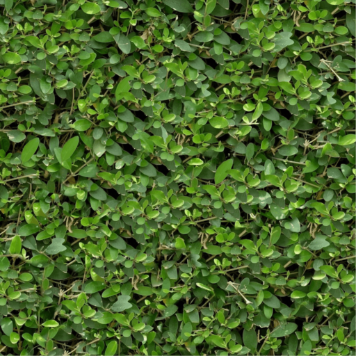 Green Bush Wallpaper