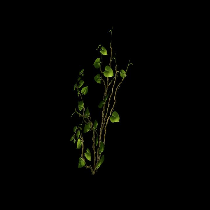Vine_06