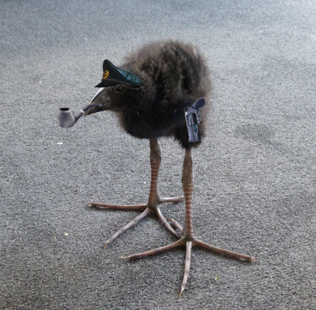 Lukako's Pukeko Pet – Barotrauma Mod