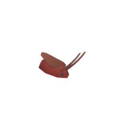Roach