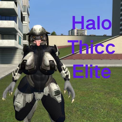 Halo Thicc Elite (Ragdoll)
