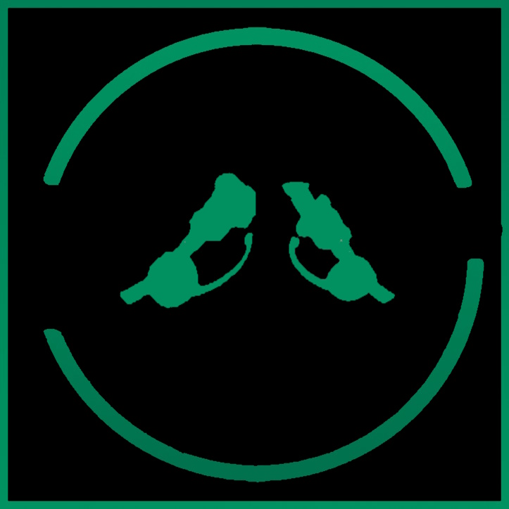 Combat Overhaul Legacy - tactical headset add-on