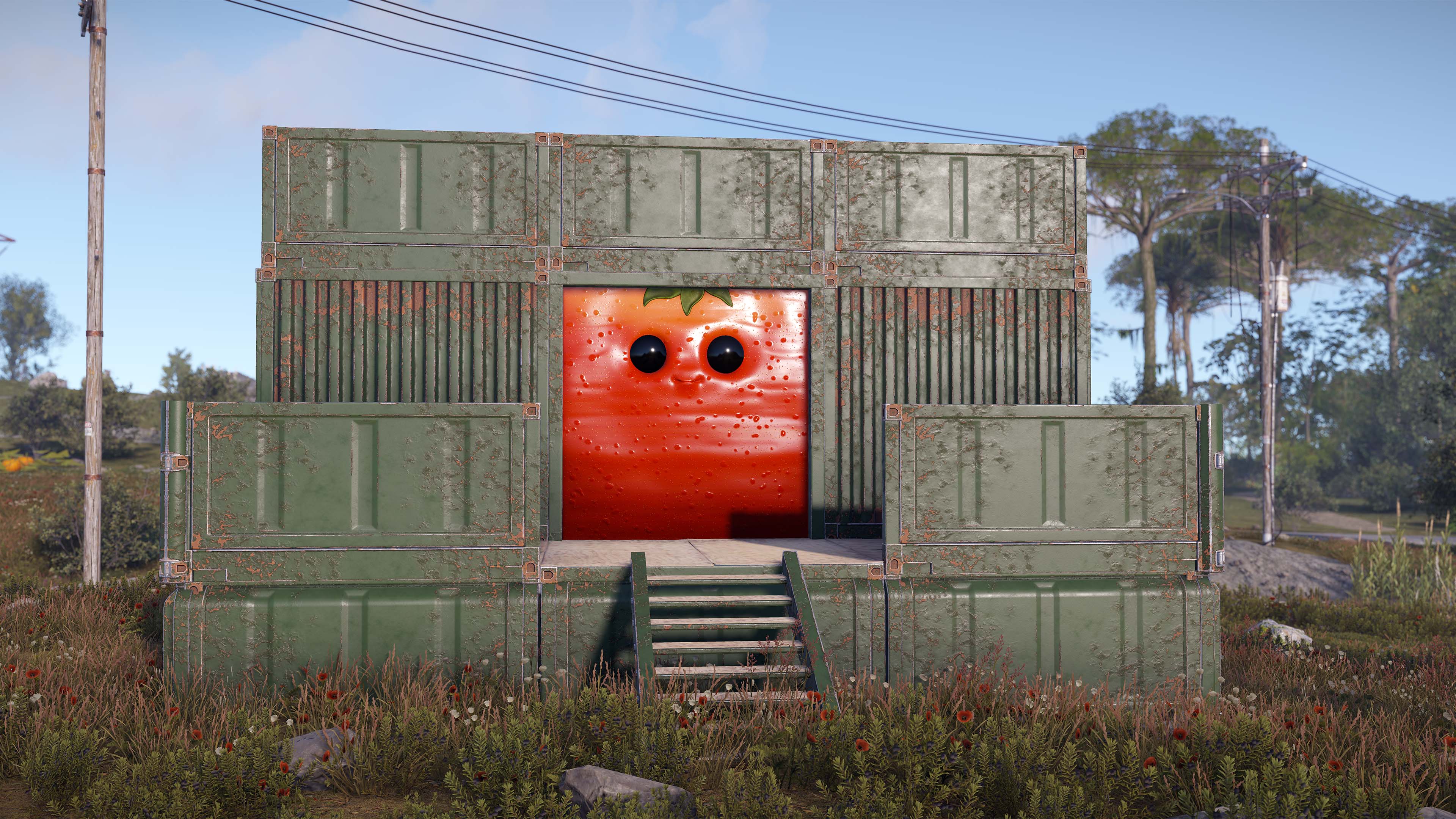 Señor Tomato Garage Door thumbnail 5