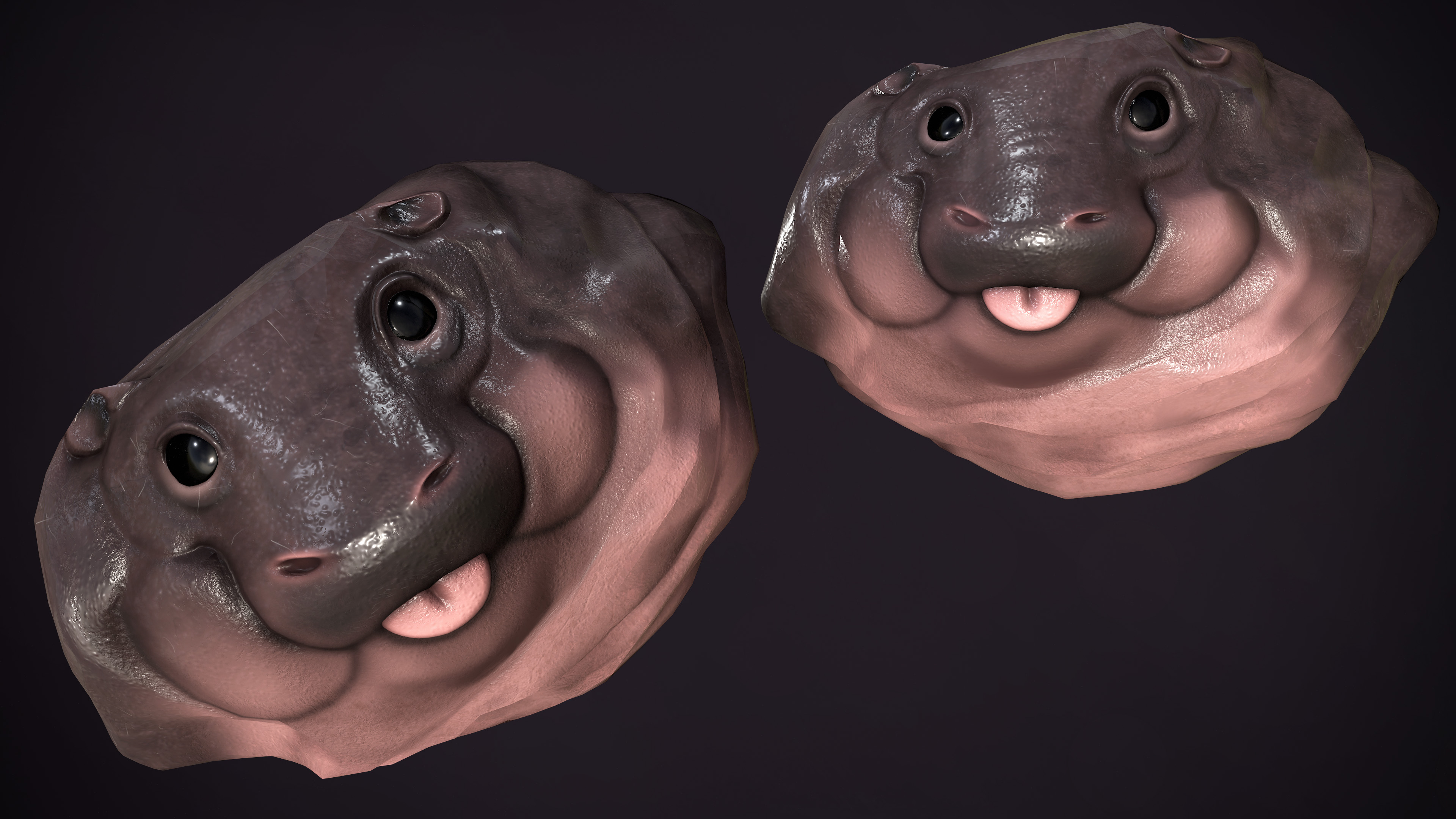 Baby Hippo Rock