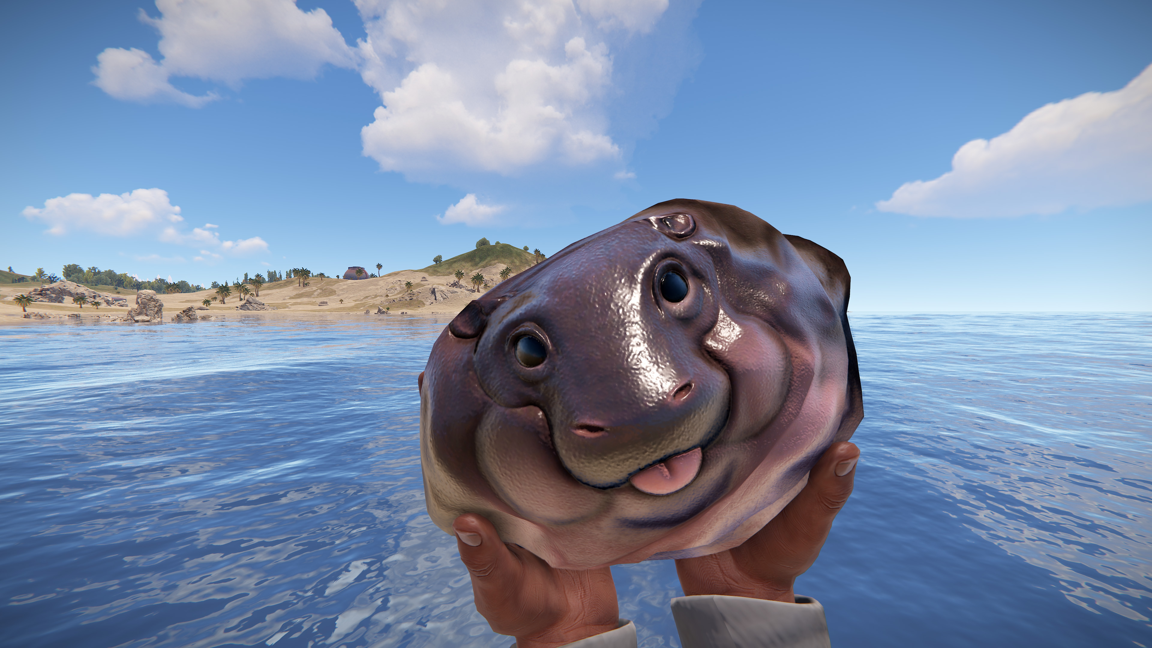 Baby Hippo Rock