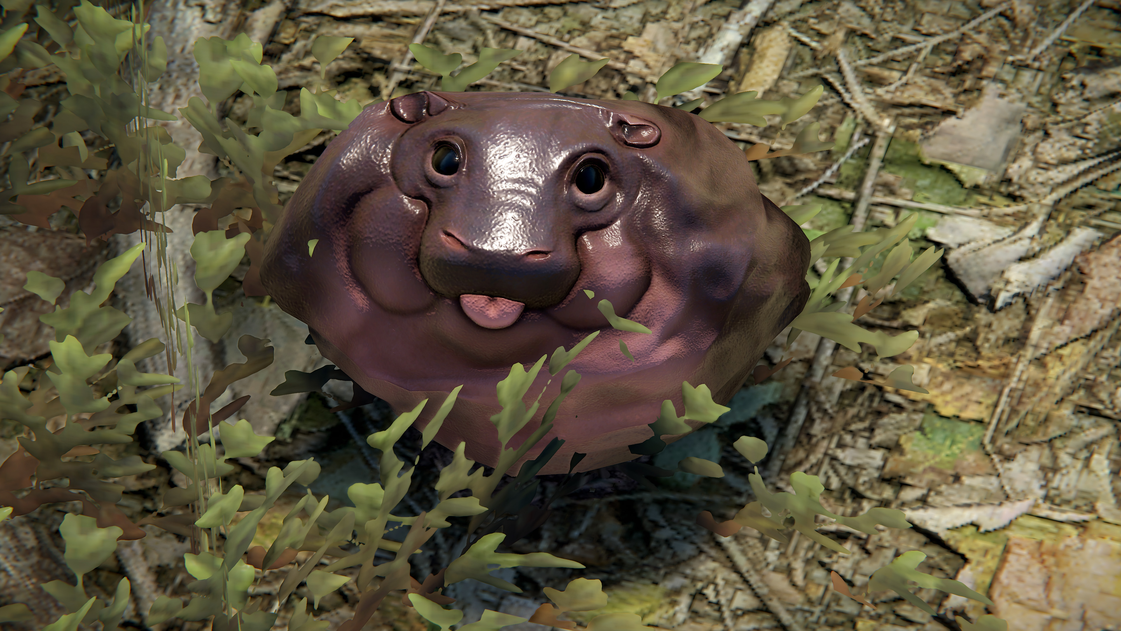 Baby Hippo Rock