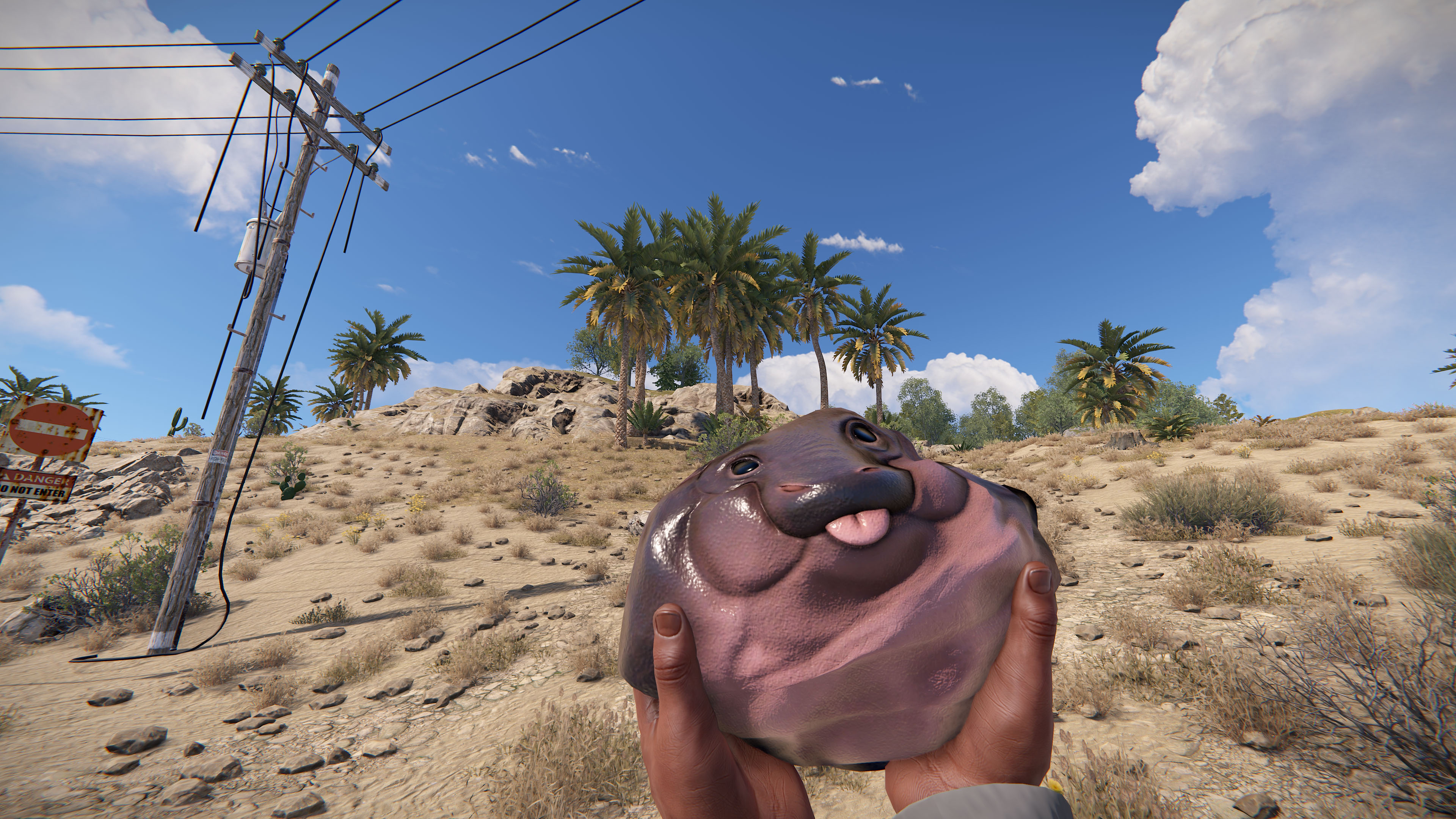 Baby Hippo Rock