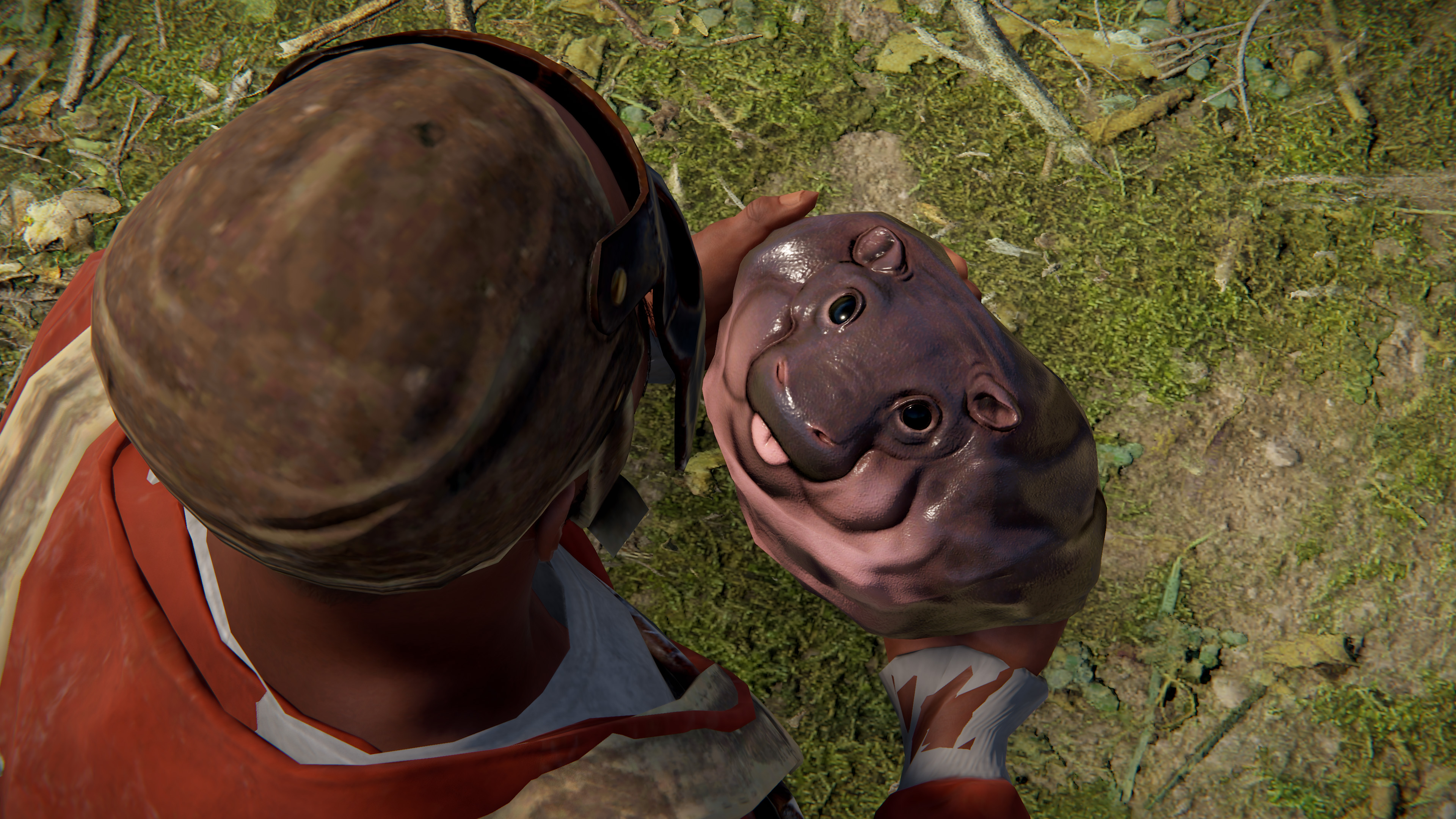 Baby Hippo Rock