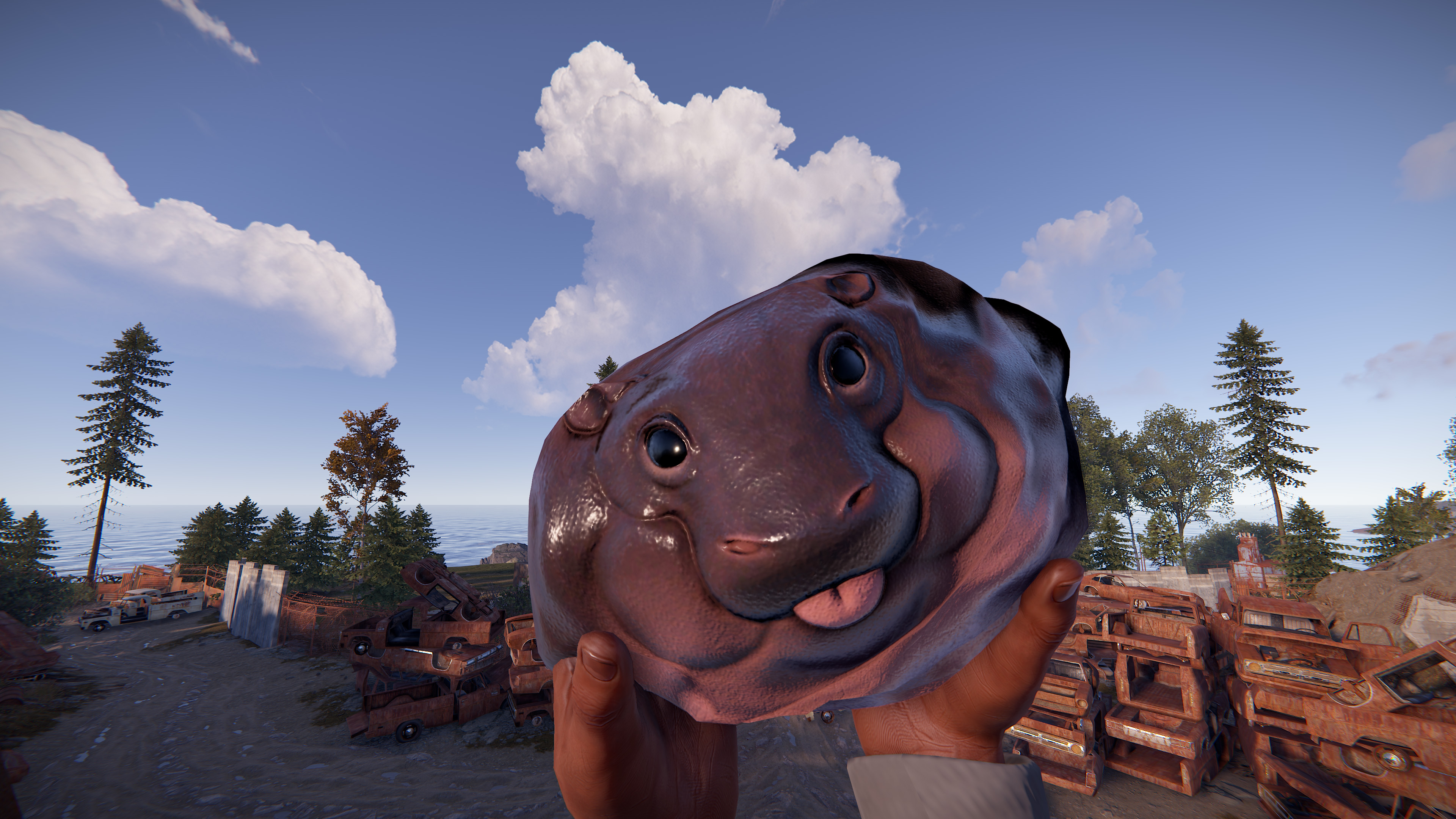 Baby Hippo Rock