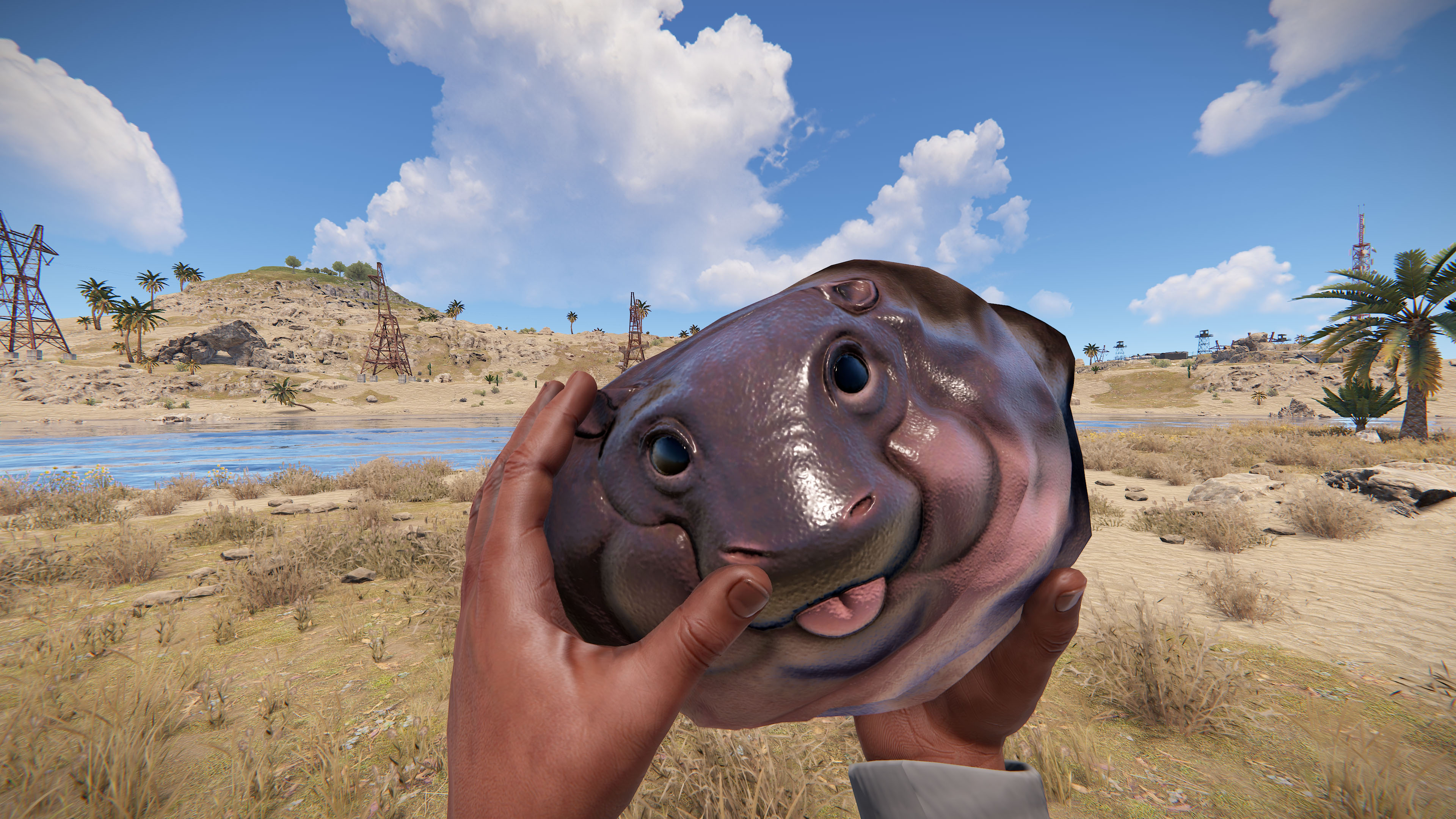 Baby Hippo Rock