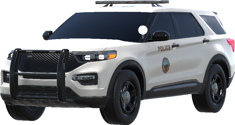 Long Beach Police Department (Airport Division), CA