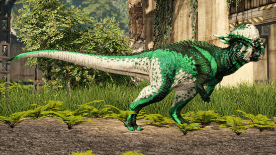 Emerald Pachy