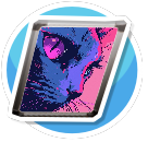 Feline Reflections