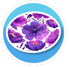 Foral Focus Zone