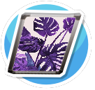 Hospital Foliage Initiative