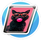 Cool Cat Poster