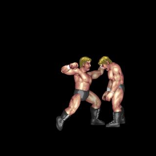 Triple H Punch