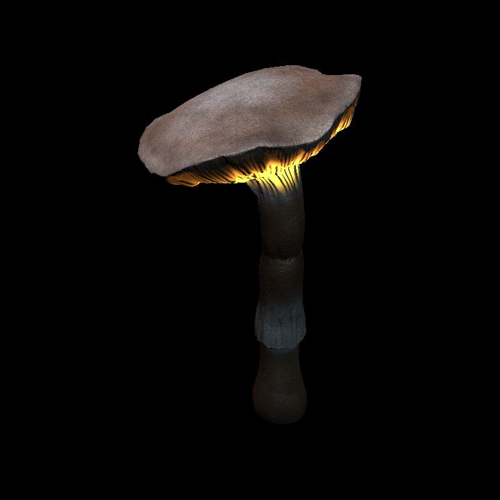 Mushroom_Middle_2_3