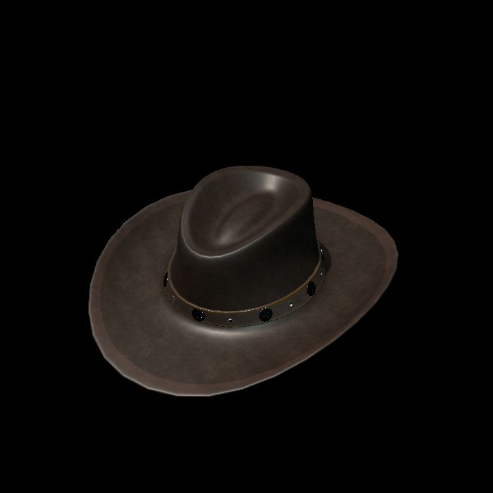 Cowboy Hat