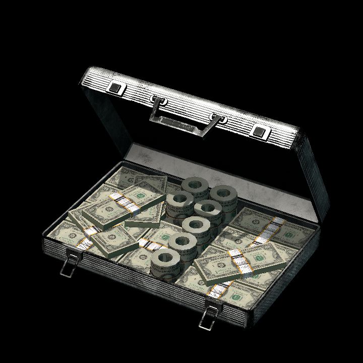 Case with money