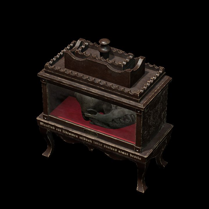Cabinet of Curiosities