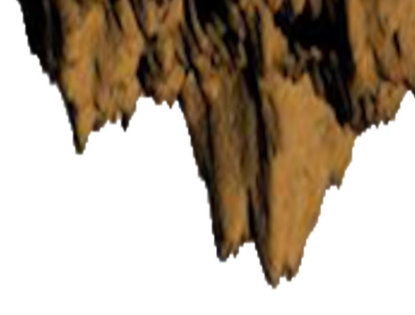 lm