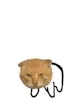 耄耋猴子 kawaii cat replaced jockey
