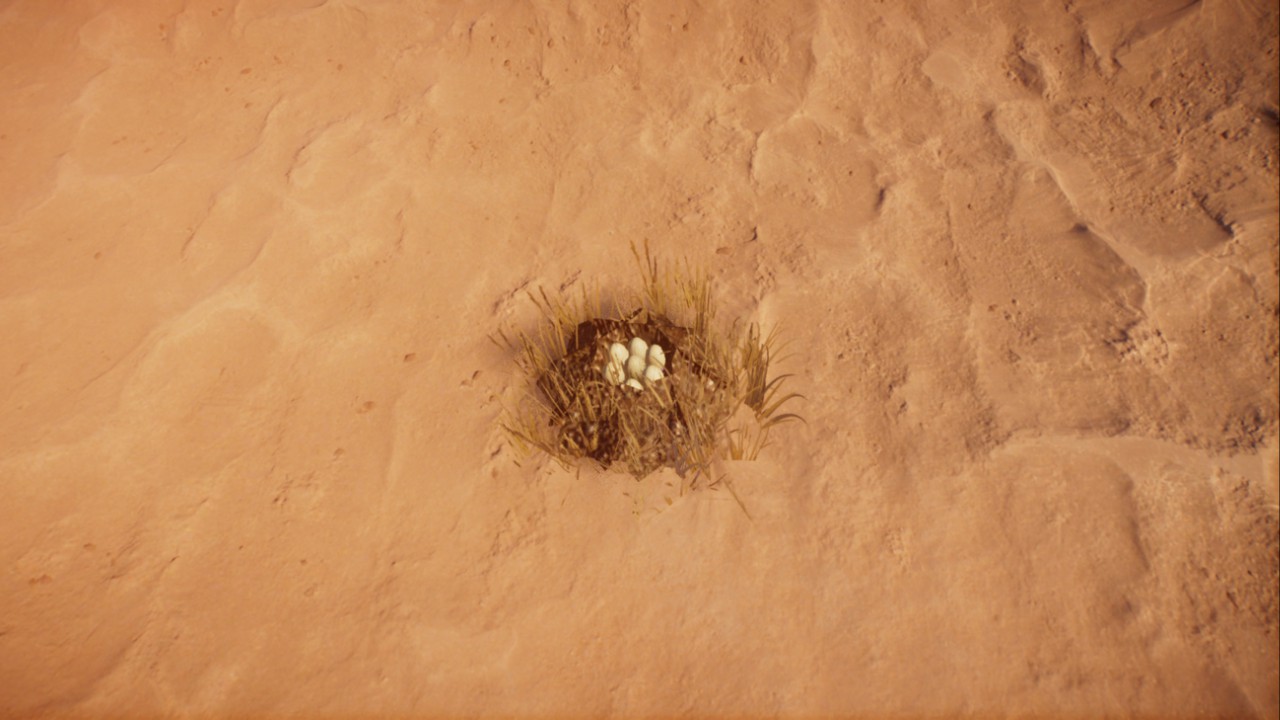 Small Reptile Nest preview
