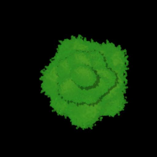 Fluffy Pine 2