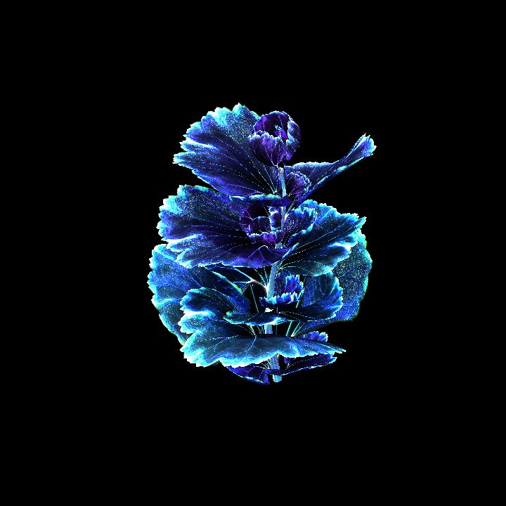 FeyPlant